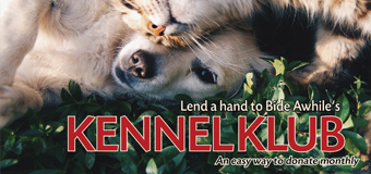 Do you want to be part of the Kennel Klub?