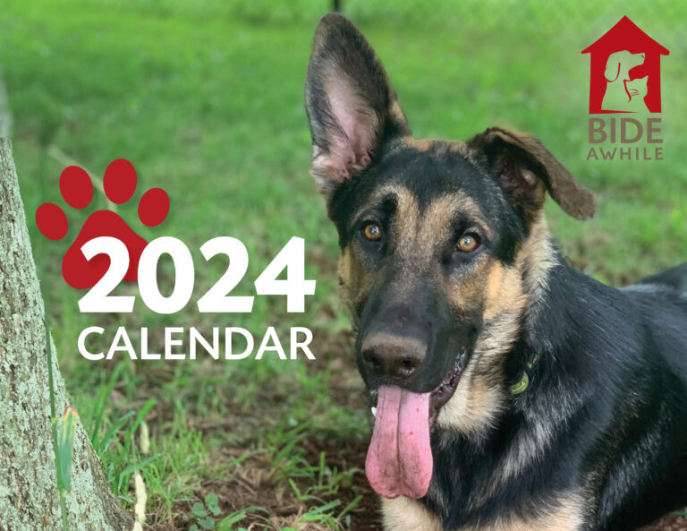 2024 Pet Photo Calendar Bide Awhile