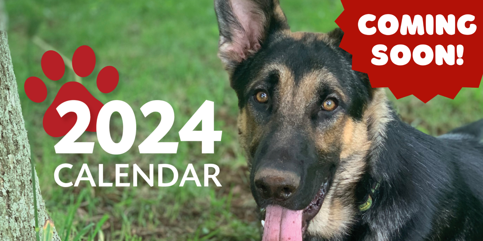 2024 Pet Photo Calendar Bide Awhile